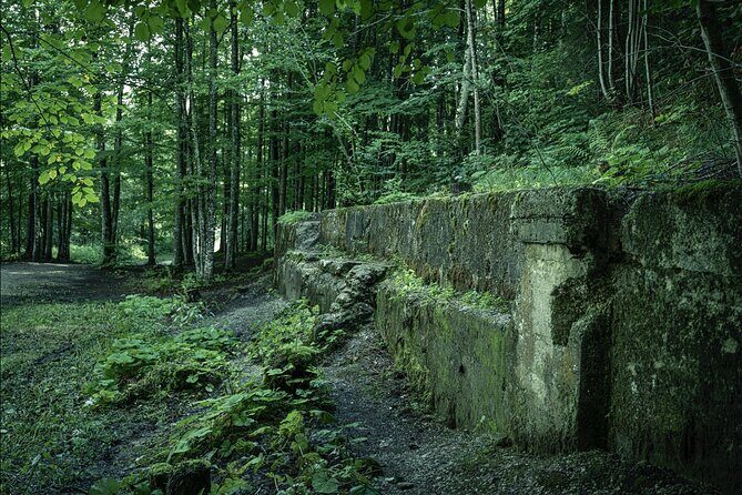 Berchtesgaden-Obersalzberg Private Half Day WWII Historical Tour - How to dress and plan for the woods walk and weather