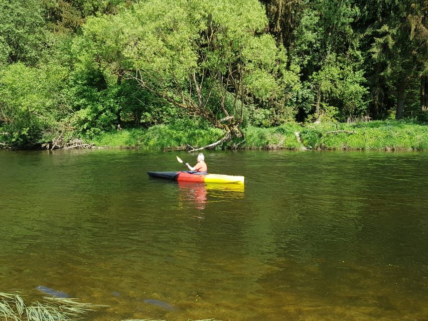 From Viechtach: Regen River Canoe Tour to Höllensteinsee - Logistics That Matter: Parking, Meeting Point, and the Short Walk