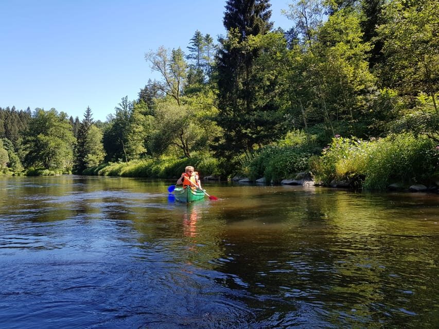 From Viechtach: Regen River Canoe Tour to Höllensteinsee - The Downriver Experience: Views, Water, and a Real Sense of Calm