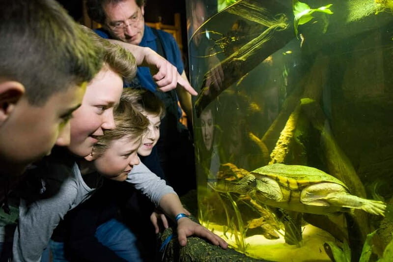 Munich: Day Ticket to Sea Life - Enter through Willi-Daume-Platz and map your route across 12 areas