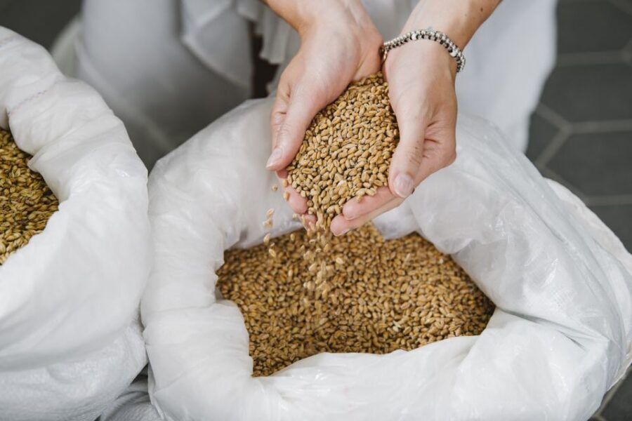 Munich: Hands-On Brewery Tour & Tasting of 4 Organic Beers - Why Haderner Bräu’s Organic Tour Feels More Hands-On Than Typical Tastings