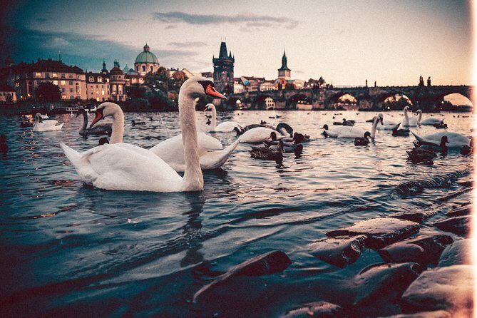 Munich to Prague - Private Transfer with 2 hours of Sightseeing - Your driver: local English-speaking insight, not a formal guide