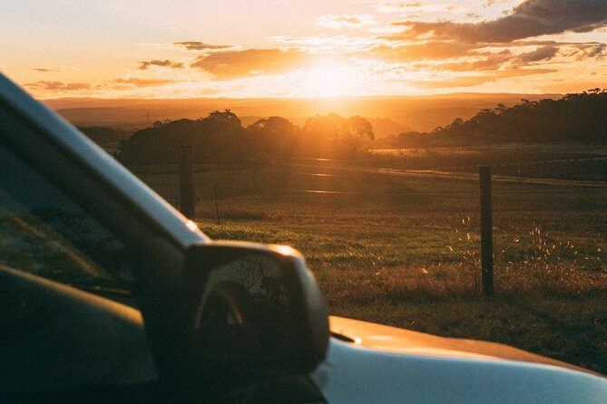 Munich to Prague - Private Transfer with 2 hours of Sightseeing - Vehicle choice and luggage space: comfort is part of the itinerary