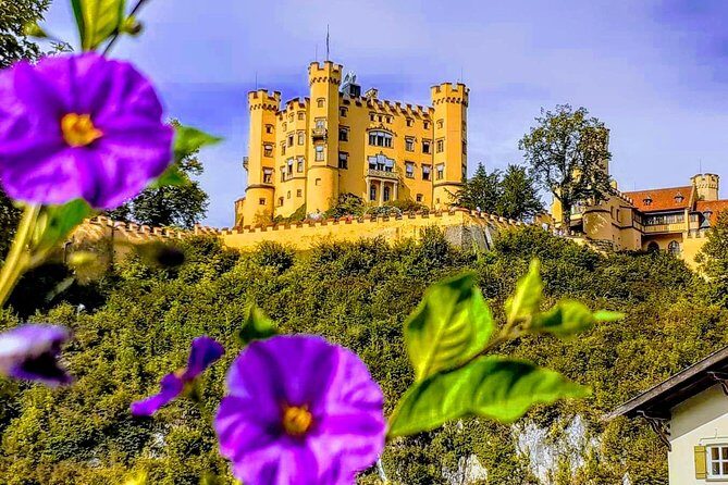 Neuschwanstein and Hohenschwangau Exclusive Skip-the-Crowds Tour - Key reasons this tour works so well