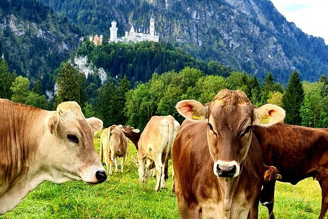 Neuschwanstein Castle, Ettal Abbey and Oberammergau Private Tour from Munich - Ettal Abbey: Baroque Church and Benedictine Monks Since 1330