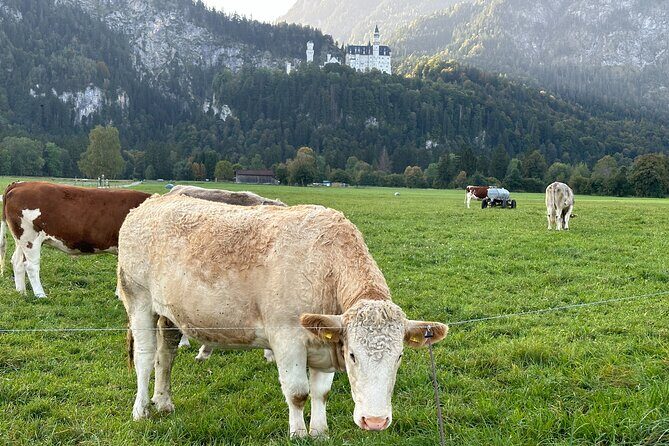 Neuschwanstein Castle & more - Private Tour from Munich - Passionstheater and Ettal Abbey: a quieter side of Bavaria