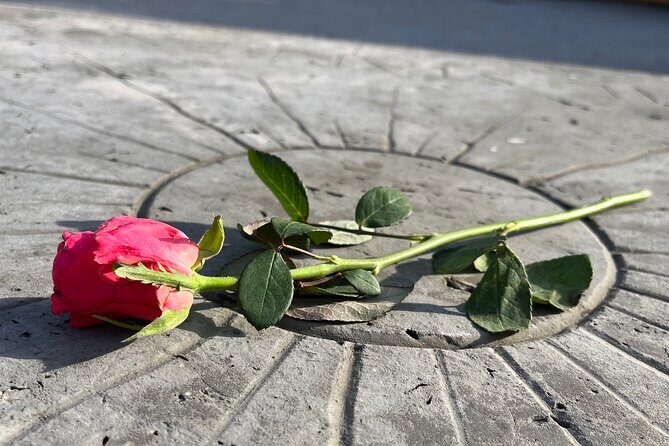 Private Dachau Concentration Camp Memorial Site Tour from Munich - Should you book this Dachau private tour from Munich?