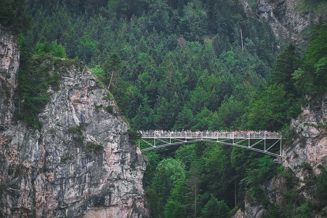 Private Neuschwanstein Castle Tour - optional Alpine Coaster - What the day feels like: timing, energy, and pacing