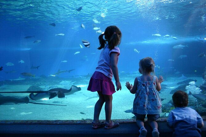 SEA LIFE Munich Admission Ticket - Key Highlights You’ll Actually Feel On Arrival