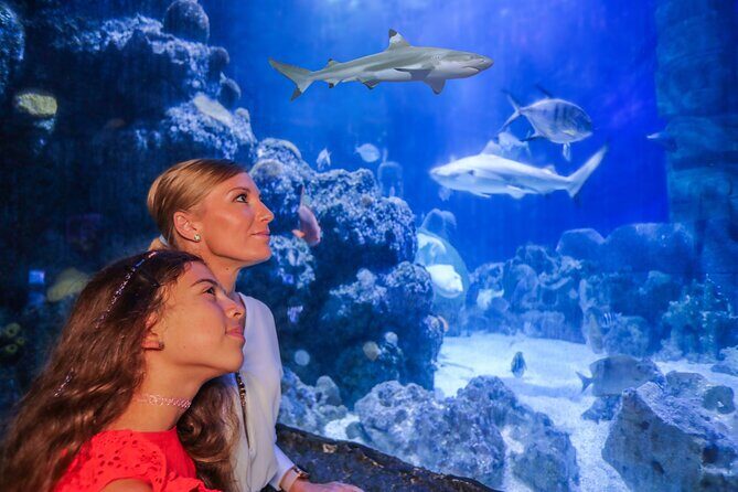 SEA LIFE Munich Admission Ticket - Entering SEA LIFE Munich at Olympic Park