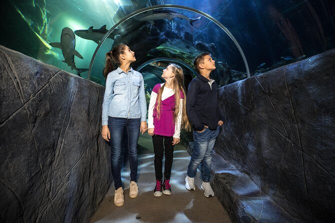 SEA LIFE Munich Admission Ticket - The Shark Moment: Germany’s Biggest Variety