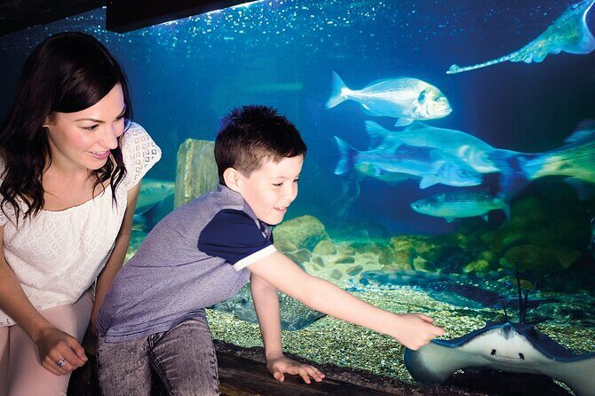 SEA LIFE Munich Admission Ticket - How Long Should You Plan for?